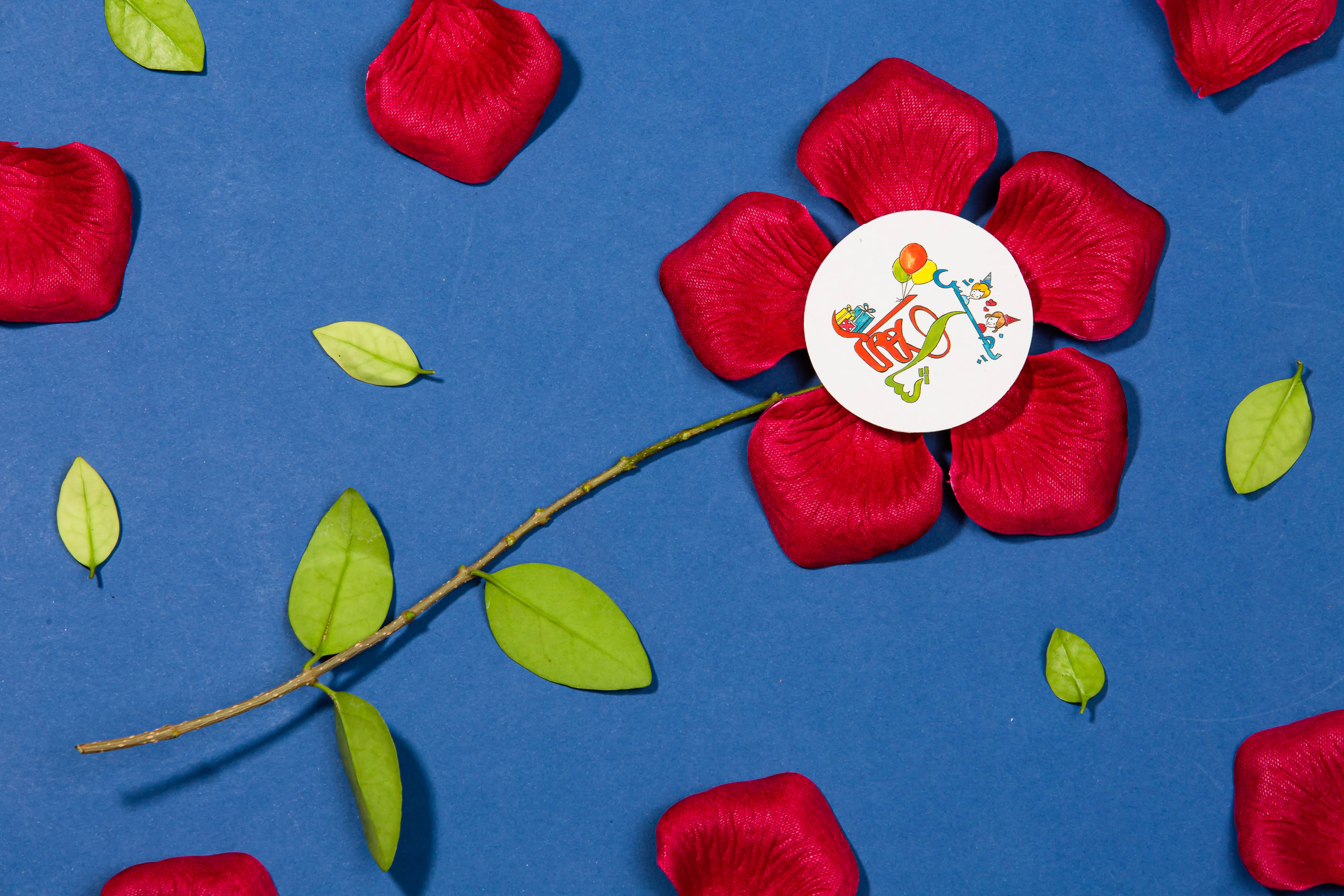 گلبرگ لمسی زرشکی