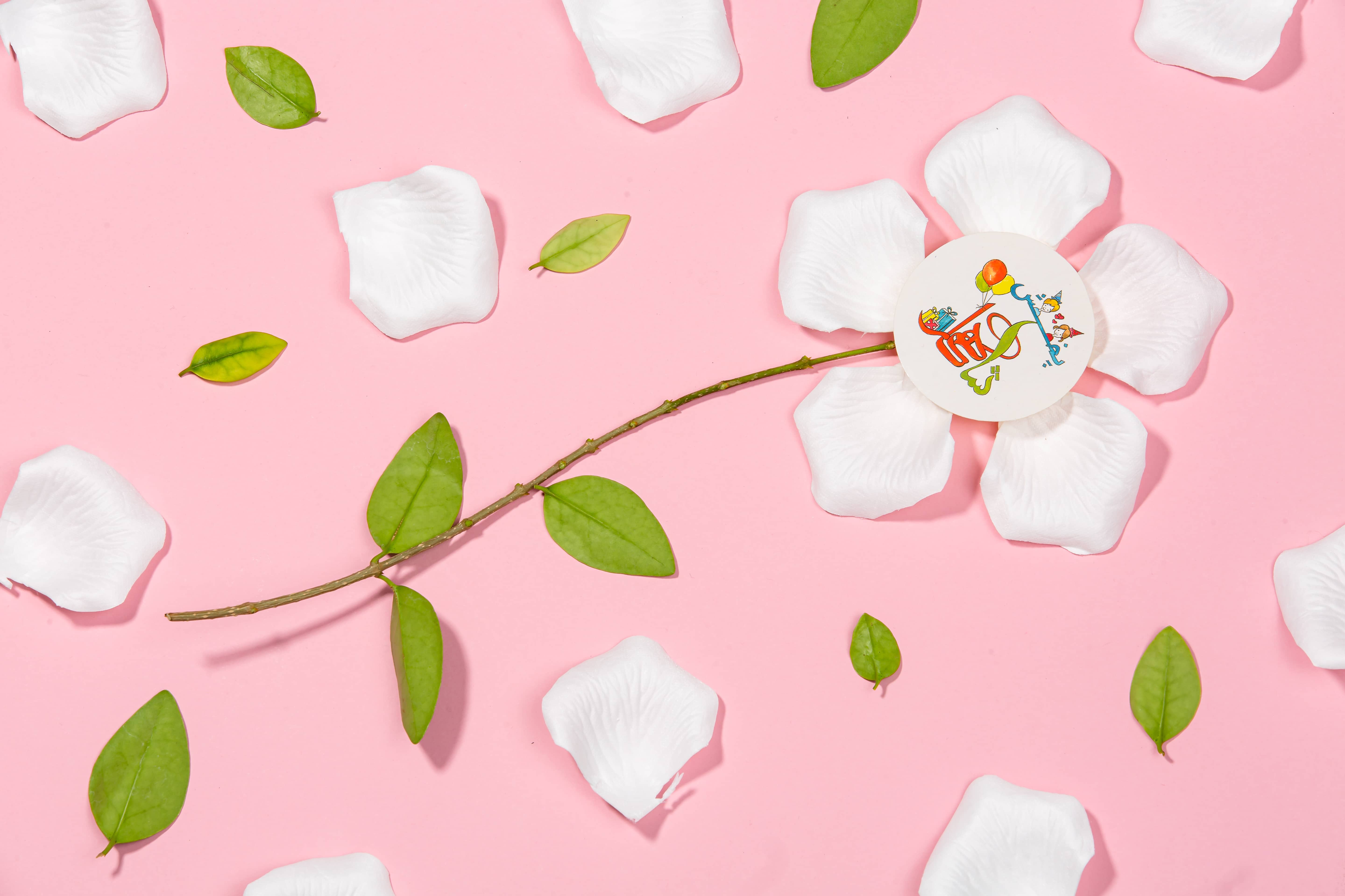 گلبرگ لمسی سفید