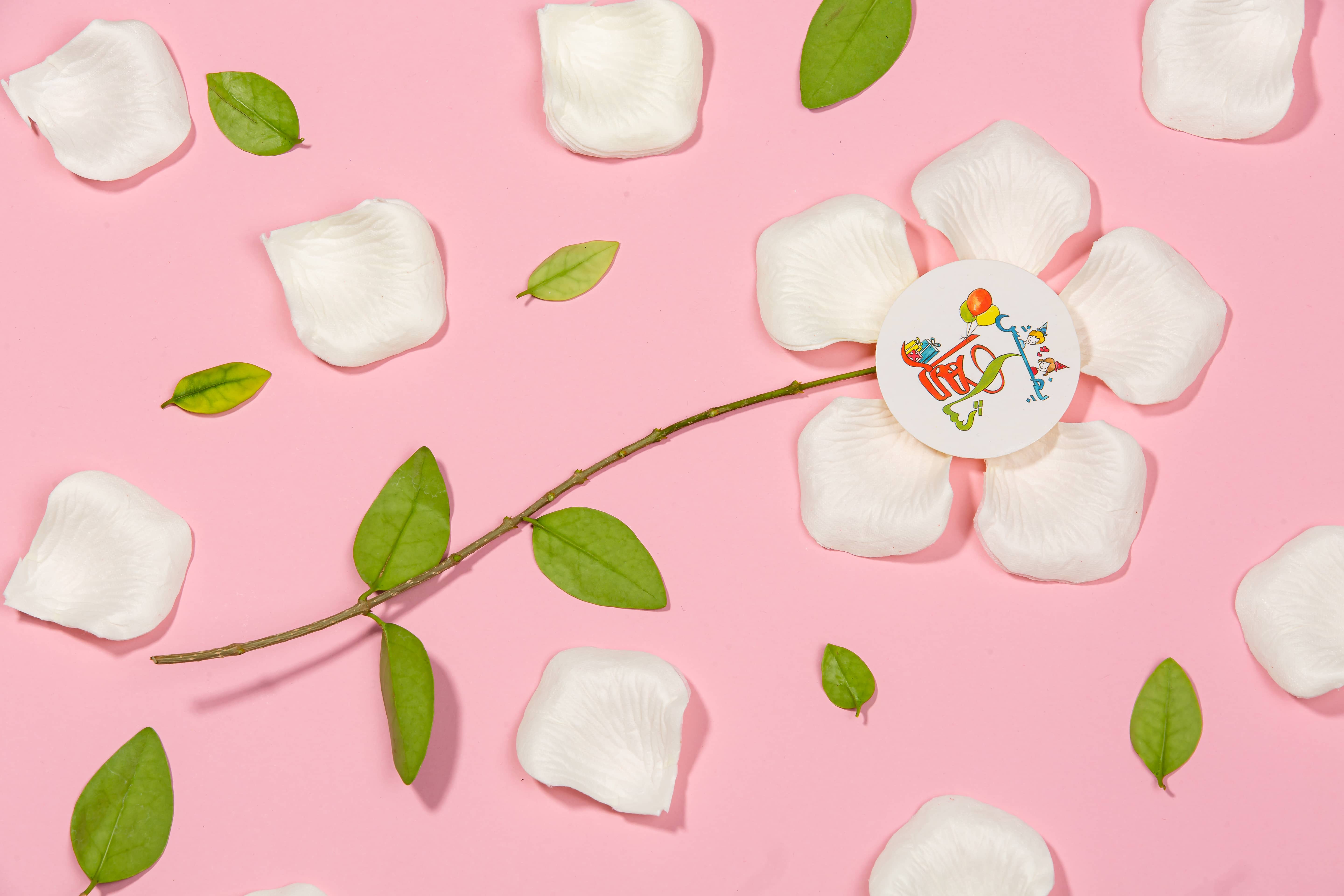 گلبرگ لمسی نباتی